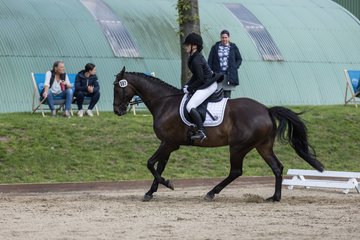 Bild 238 - Pony Akademie Turnier